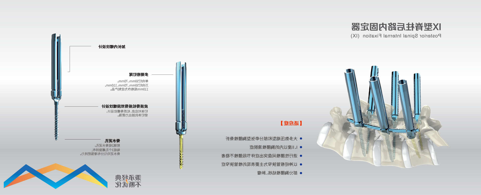 IX型脊柱内固定器